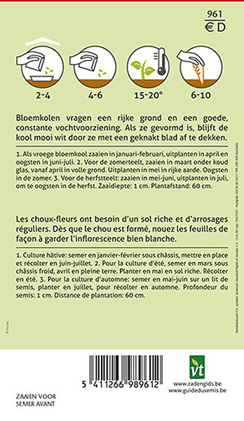 ARBORIX - Chou-Fleur Siria F1 Hybride - Ca. 0,3 gr (Livraison Gratuite) - large