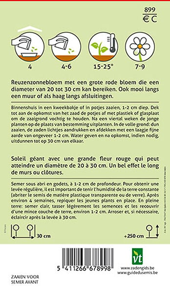 ARBORIX - Tournesol Red Sun - Ca. 1 gr (Livraison Gratuite) - large