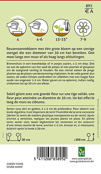 ARBORIX - Tournesol Giganteus - Ca. 1,5 gr (Livraison Gratuite) - large