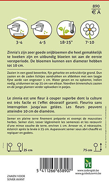 ARBORIX - Zinnia à Grande Fleur De Dahlia - Ca. 1 gr (Livraison Gratuite) - large