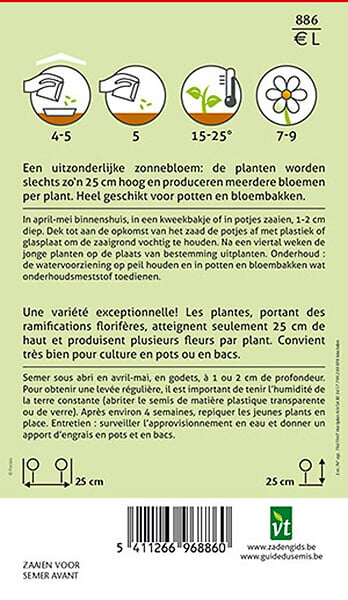ARBORIX - Tournesol Suntastic - Ca. 20 graines (Livraison Gratuite) - large