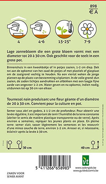 ARBORIX - Tournesol Nain Sunspot - Ca. 1,5 gr (Livraison Gratuite) - large