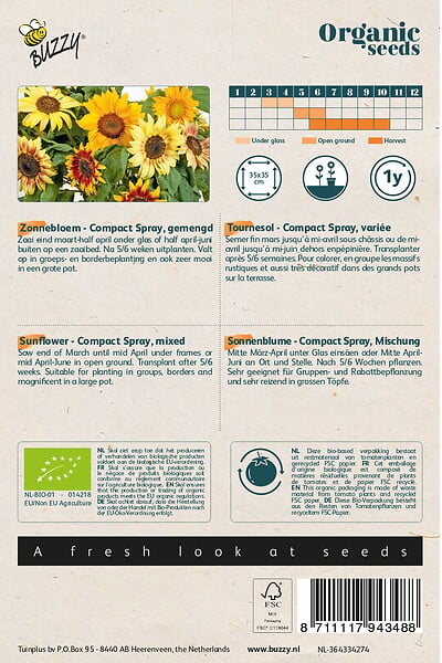 ARBORIX - Buzzy Organic Tournesol Compact Spray mixed- Bio Semences - Ca. 1 gr (Livraison Gratuite) - large
