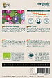 ARBORIX - Buzzy Organic Ipomeé Variée- Bio Semences - Ca. 1 gr (Livraison Gratuite) - vignette