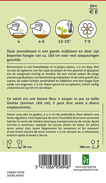 ARBORIX - Tournesol Domino - Ca. 1 gr (Livraison Gratuite) - large