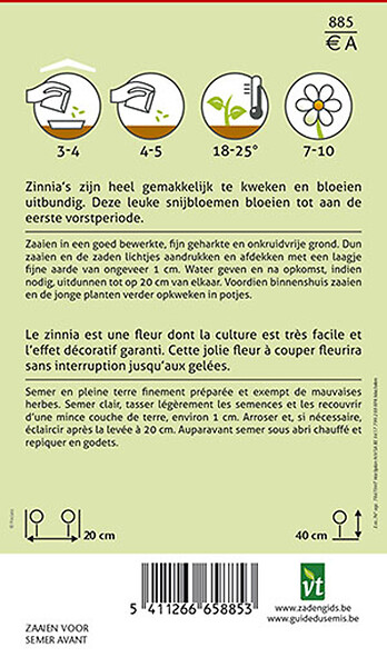 ARBORIX - Zinnia Nain Lilliput - Ca. 1 gr (Livraison Gratuite) - large