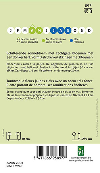 ARBORIX - Tournesol Moonwalker - Ca. 1 gr (Livraison Gratuite) - large