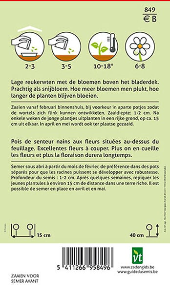 ARBORIX - Pois De Senteur Bijou - Ca. 4 gr (Livraison Gratuite) - large