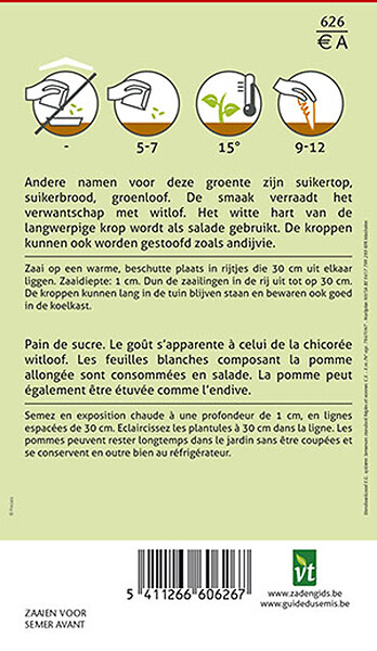 ARBORIX - Chicorée Sauvage Elmo - Ca. 1,5 gr (Livraison Gratuite) - large