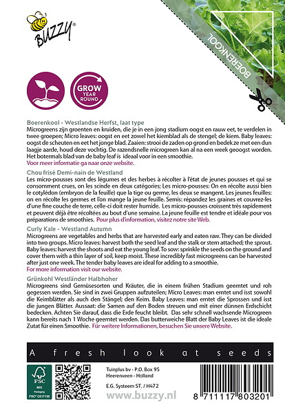 ARBORIX - Buzzy Microgreens Chou frisé Demi-nain de Westland Semences - Ca. 1 gr (Livraison Gratuite) - large