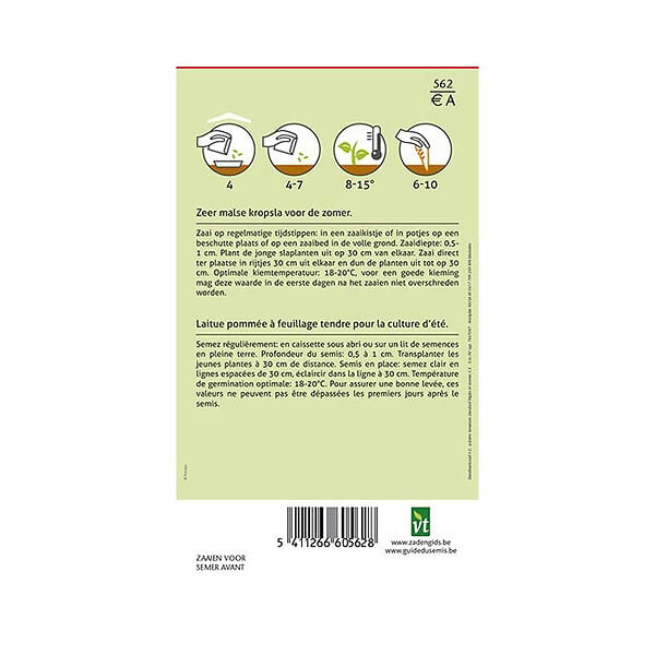 ARBORIX - Laitue Blonde Paresseuse - Ca. 3 gr (Livraison Gratuite) - large