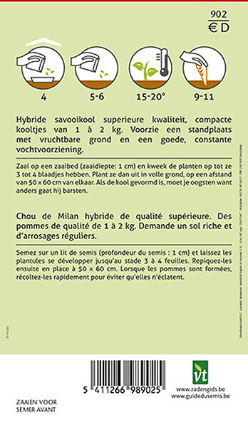 ARBORIX - Chou De Milan Capriccio F1 Hybride - Ca. 0,3 gr (Livraison Gratuite) - large