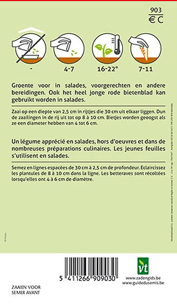 ARBORIX - Betterave Rouge Detroit - Ca. 5 gr (Livraison Gratuite) - large