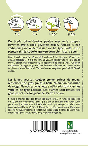 ARBORIX - Haricots Nains Flambo - Ca. 40 gr (Livraison Gratuite) - large
