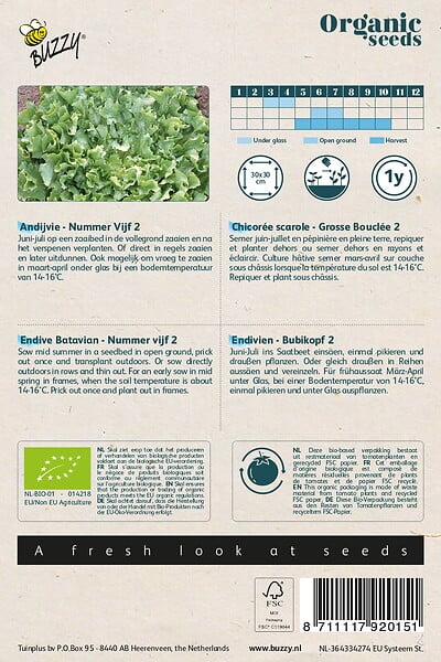 ARBORIX - Buzzy Organic Endive Bio Buzzy Numéro Cinq 2 - Bio Semences - Ca. 1 gr (Livraison Gratuite) - large