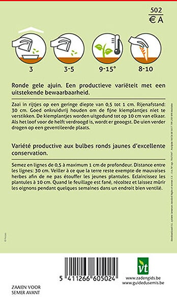 ARBORIX - Oignon Rijnsburger - Ca. 4 gr (Livraison Gratuite) - large