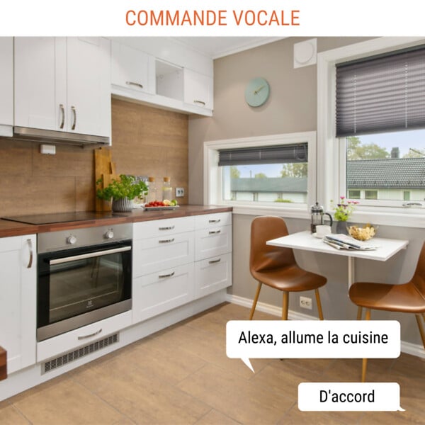 KONYKS - Interrupteur variateur + rétroéclairage Concierge Versailles - Konyks - large