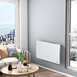 WARM TECH - Radiateur inertie fonte 1500 W - IP24 - NF - Fil pilote 6 ordres. - vignette