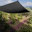WERKAPRO - Toile d'ombrage potager et serre 4 x 5 m - vignette