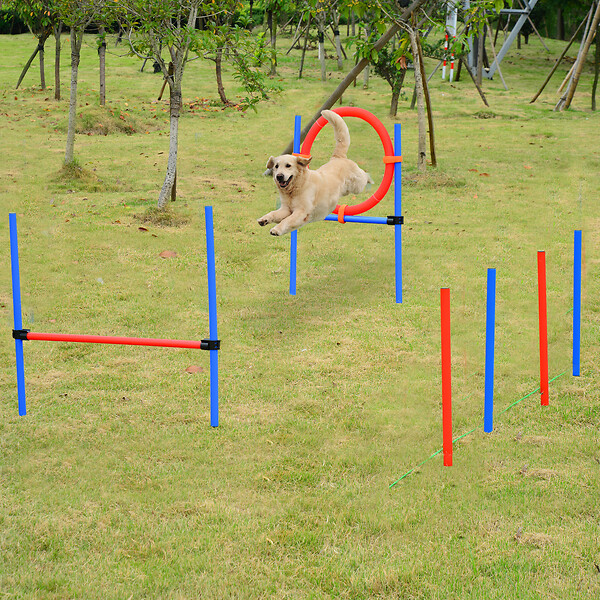 PAWHUT - Agility sport pour chiens équipement complet obstacles et entrainement 11 pièces avec sac de transport acier rouge et bleu - large