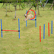 PAWHUT - Agility sport pour chiens équipement complet obstacles et entrainement 11 pièces avec sac de transport acier rouge et bleu - vignette