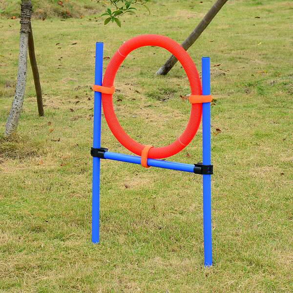 PAWHUT - Agility sport pour chiens équipement complet obstacles et entrainement 11 pièces avec sac de transport acier rouge et bleu - large