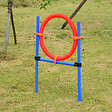 PAWHUT - Agility sport pour chiens équipement complet obstacles et entrainement 11 pièces avec sac de transport acier rouge et bleu - vignette