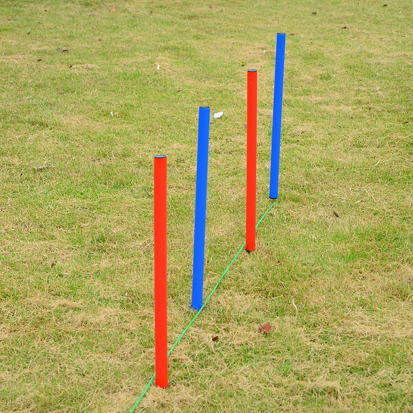 PAWHUT - Agility sport pour chiens équipement complet obstacles et entrainement 11 pièces avec sac de transport acier rouge et bleu - large