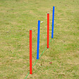 PAWHUT - Agility sport pour chiens équipement complet obstacles et entrainement 11 pièces avec sac de transport acier rouge et bleu - vignette