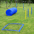 PAWHUT - Agility sport pour chiens équipement complet obstacles, tunnel, slalom, zone repos + 2 sacs de transport bleu jaune - vignette