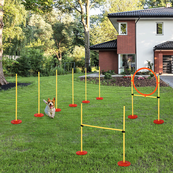 PAWHUT - Agility sport pour chiens équipement complet haies, slalom + sac de transport jaune - large