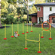 PAWHUT - Agility sport pour chiens équipement complet haies, slalom + sac de transport jaune - vignette