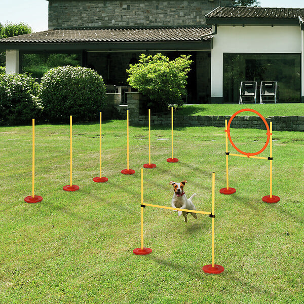 PAWHUT - Agility sport pour chiens équipement complet haies, slalom + sac de transport jaune - large