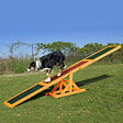PAWHUT - Agility sport pour chien bascule - bascule pour chien - équipement entrainement chien - bois sapin pré-huilé feutre bitumé antidérapant brique vert - vignette