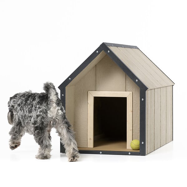 TIMBELA - LP SmartSide Niche pour chien - Niche en bois pour chiens de taille moyenne, usage extérieur,  57 x 95 x H68 cm, Taille M - TIMBELA M971-1 - large