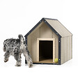 TIMBELA - LP SmartSide Niche pour chien - Niche en bois pour chiens de taille moyenne, usage extérieur,  57 x 95 x H68 cm, Taille M - TIMBELA M971-1 - vignette