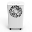 CENTRALE BRICO - Déshumidificateur TD-2410 - 10 L - 65 m3 - vignette