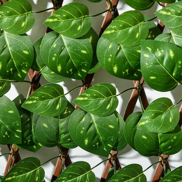 OUTSUNNY - Lot de 2 haies artificielles feuilles de radis - treillis extensibles - brise-vue canisse végétale feuillage réaliste 2L x 1H m PE marron vert - large