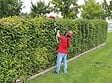 EINHELL - Taille-haie télescopique sans fil GE-HH 18/45 Li T-Solo EINHELL 3410866 18 V (Produit seul) - vignette