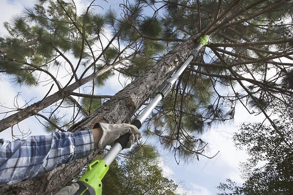 GREENWORKS TOOL - Elagueuse Sur Perche Greenworks G40pshk2 40 V - large