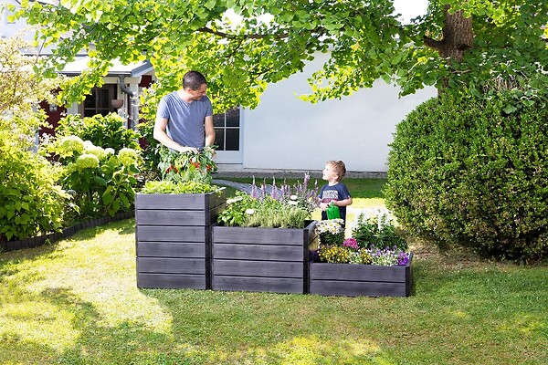 GRAF - Carré Potager Ergo Quadro L Imitation Bois 25 X 80 X 80 Cm - large