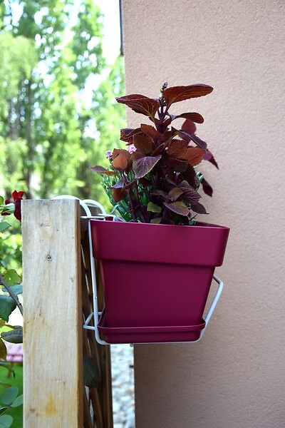 CENTRALE BRICO - Support jardinière fil classique - 35x18 cm blanc - large