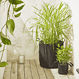 CERLAND - Sac feutre géotextile 40 cm noir - vignette
