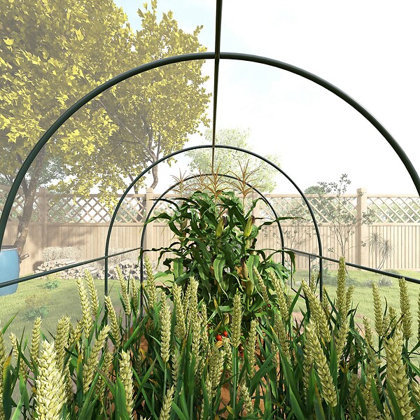 OUTSUNNY - Serre tunnel serre à tomates surface sol 6 m² 3L x 2l x 2H m - large