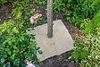 CENTRALE BRICO - Disques de paillage, 1000 g/mÂ², 0.3 m - vignette