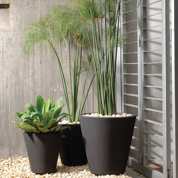 CENTRALE BRICO - Pot rond noir Rim de 46 cm avec TruDrop One - large