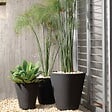 CENTRALE BRICO - Pot rond noir Rim de 46 cm avec TruDrop One - vignette