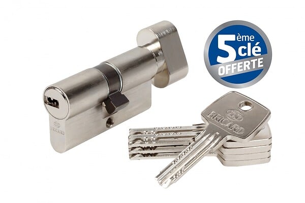 BRICARD - Cylindre de serrure BRICARD astral bouton L.30 + 30 mm - large