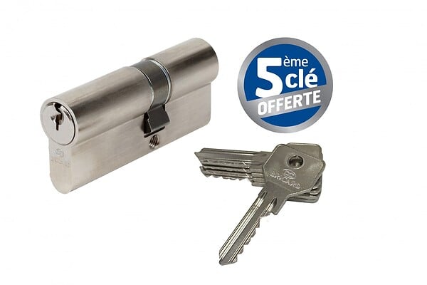 BRICARD - Cylindre de serrure BRICARD alpha débrayable L.30 + 40 mm - large