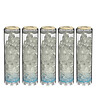 APIC - Pack 5 Cartouches Anti Calcaire 9" 3/4 - efficacité 12 mois - vignette